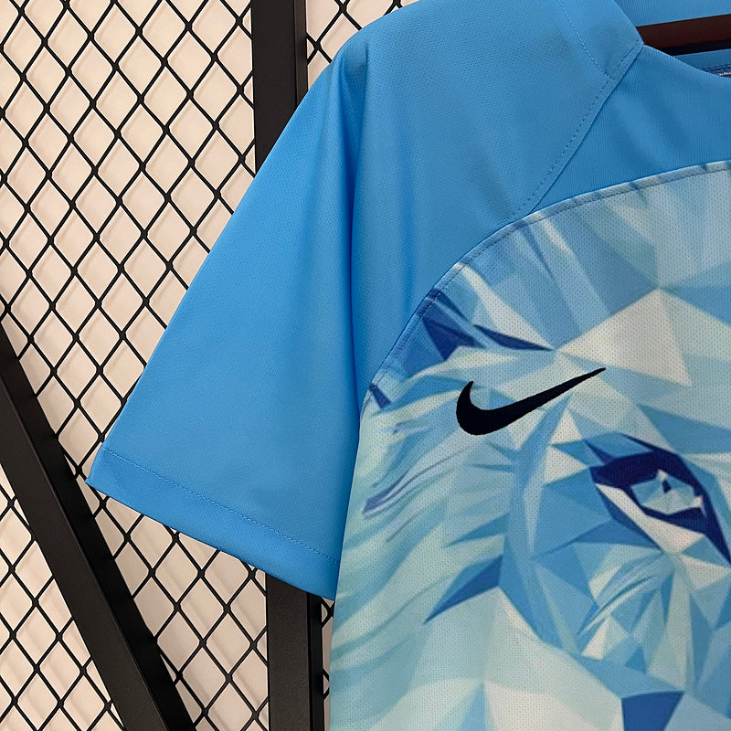 Netherlands jersey concept
