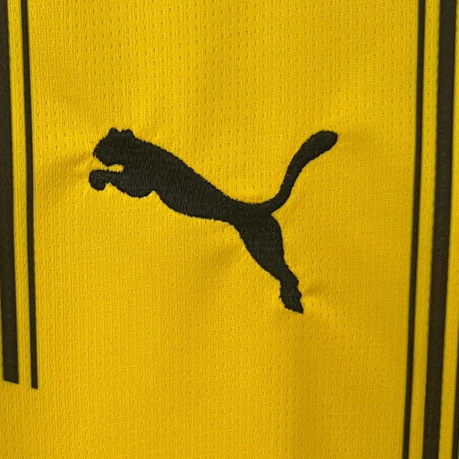 Borussia Dortmund Home Football Shirt 2024/25