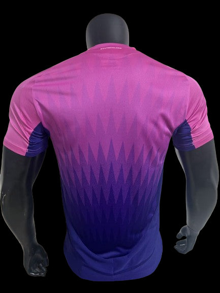 Allemagne Maillot Extérieur 24/25