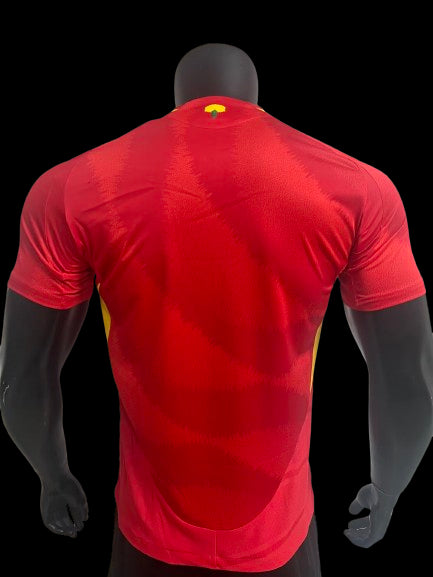 Espagne Maillot Domicile 24/25