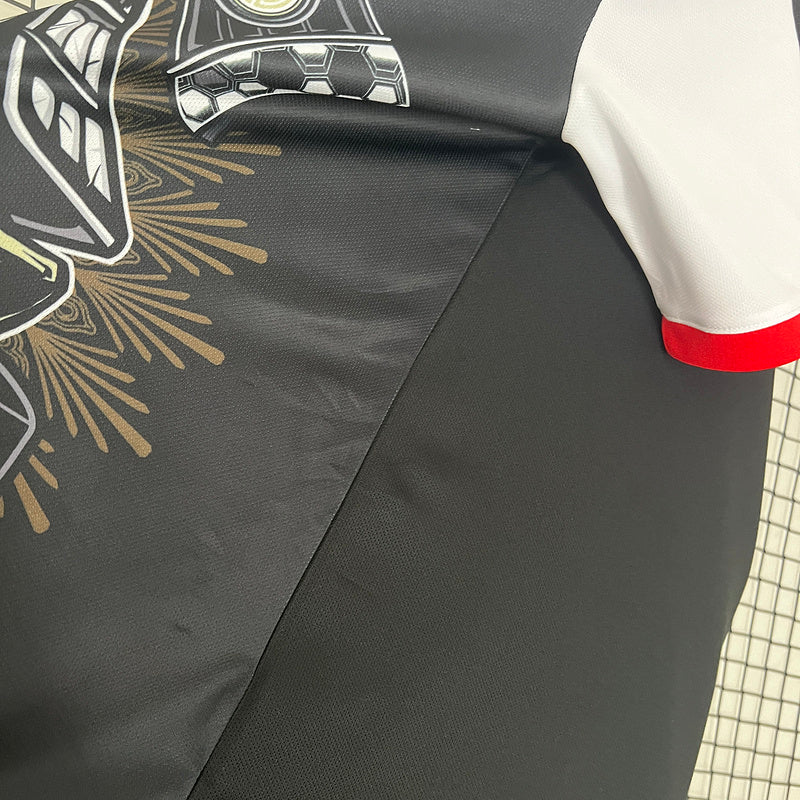 JAPAN JERSEY CONCEPT 2024
