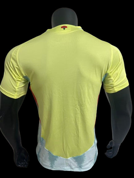MAILLOT ESPAGNE 2024/25