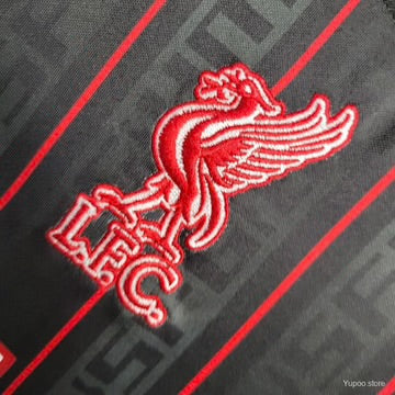 Liverpool football jersey Liverpool X Lebron YNWA 2023/24