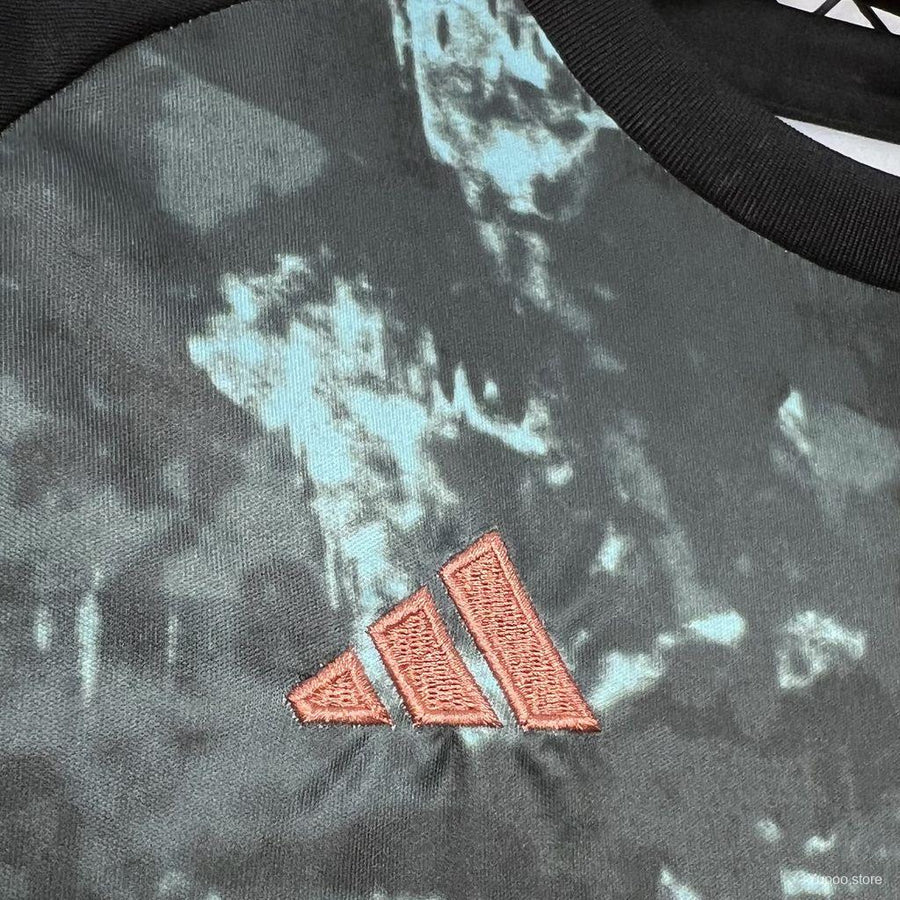 Bayern Munich Away Football Kit 2024/25