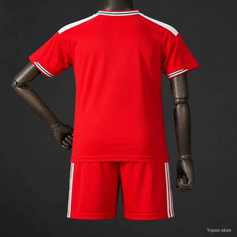 Kit ensemble football Pays de Galles Wales domicile 2026/27