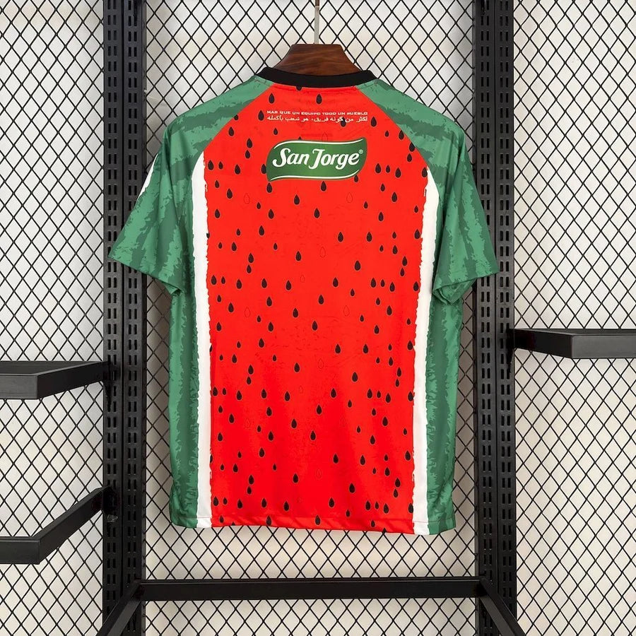 Maillot football Palestine / Palestina FC Palestino Falistīn فلسطين 2025/26