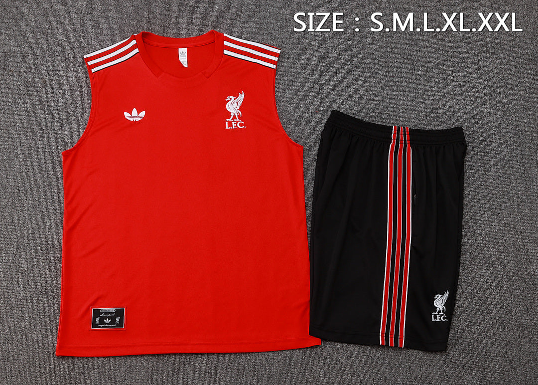 Kit Football Liverpool Ensemble Training D2515#