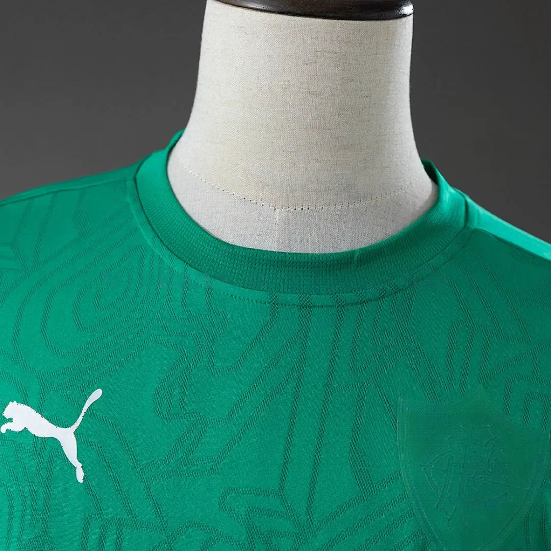 Maillot entraînement football Fluminense 2026/27