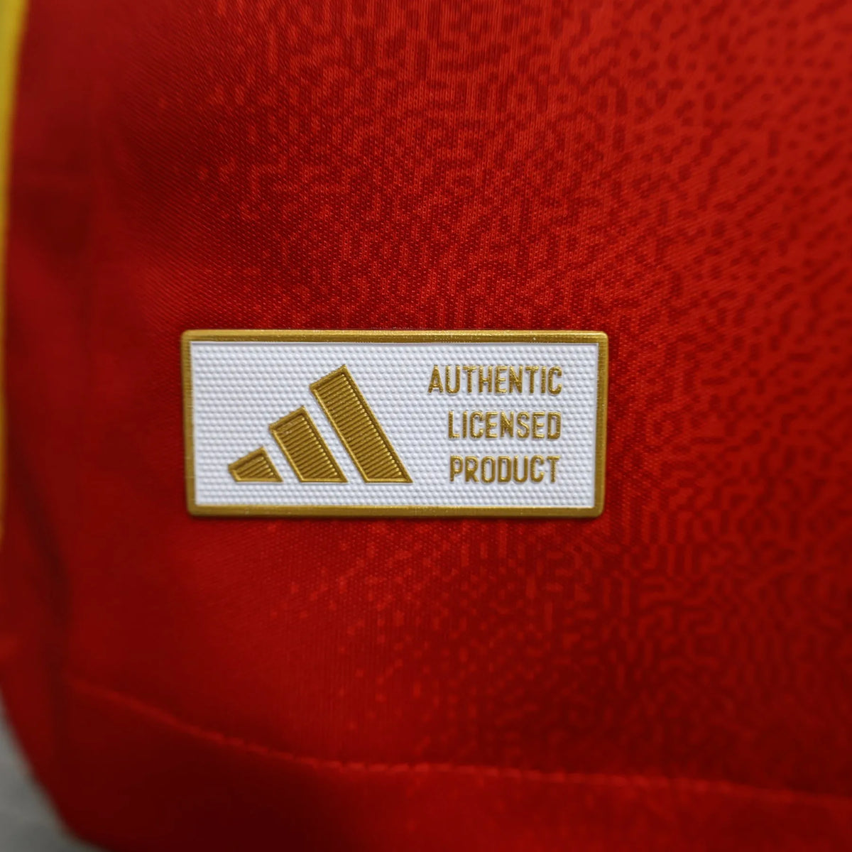 Maillot football Espagne Spain domicile manches longues Player Version 2024/25