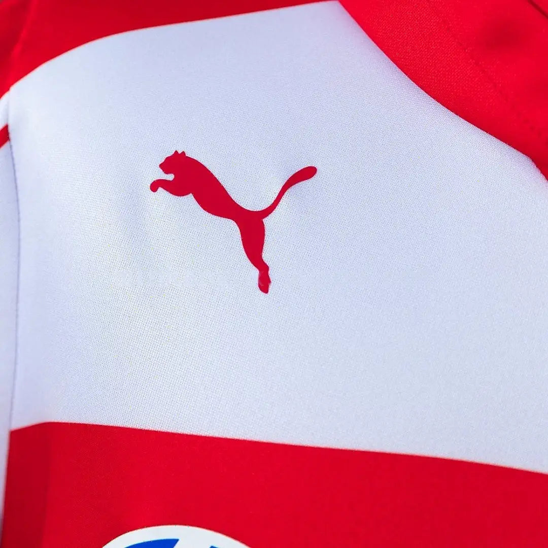 Sweat à Capuche Formula 1 2026 Rouge