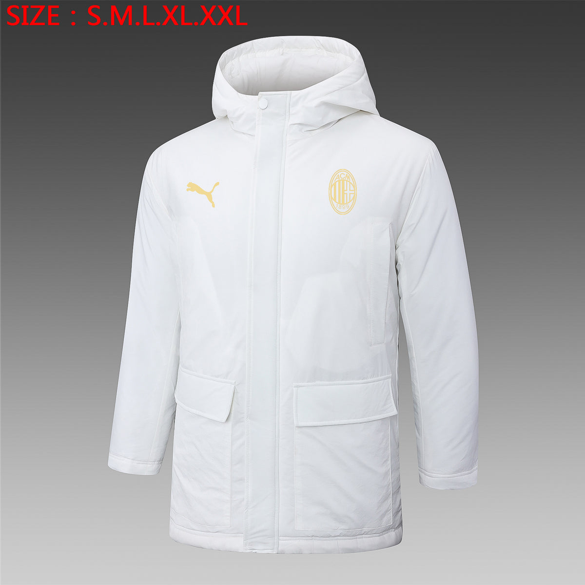 Veste AC Milan 2024/25