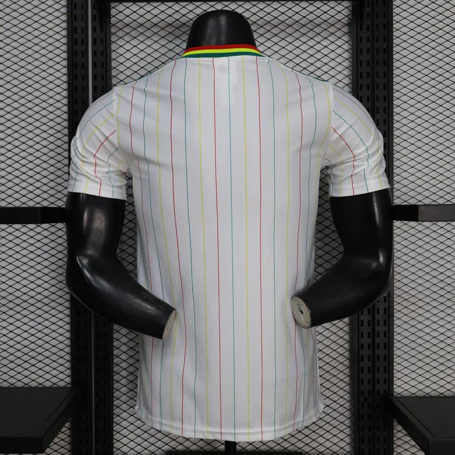 Maillot football Sénégal/Senegal Les Lions * Player Version * Retro 2025/26
