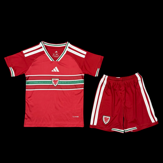 Pays de Galles Maillot Domicile 26/27 – Enfant