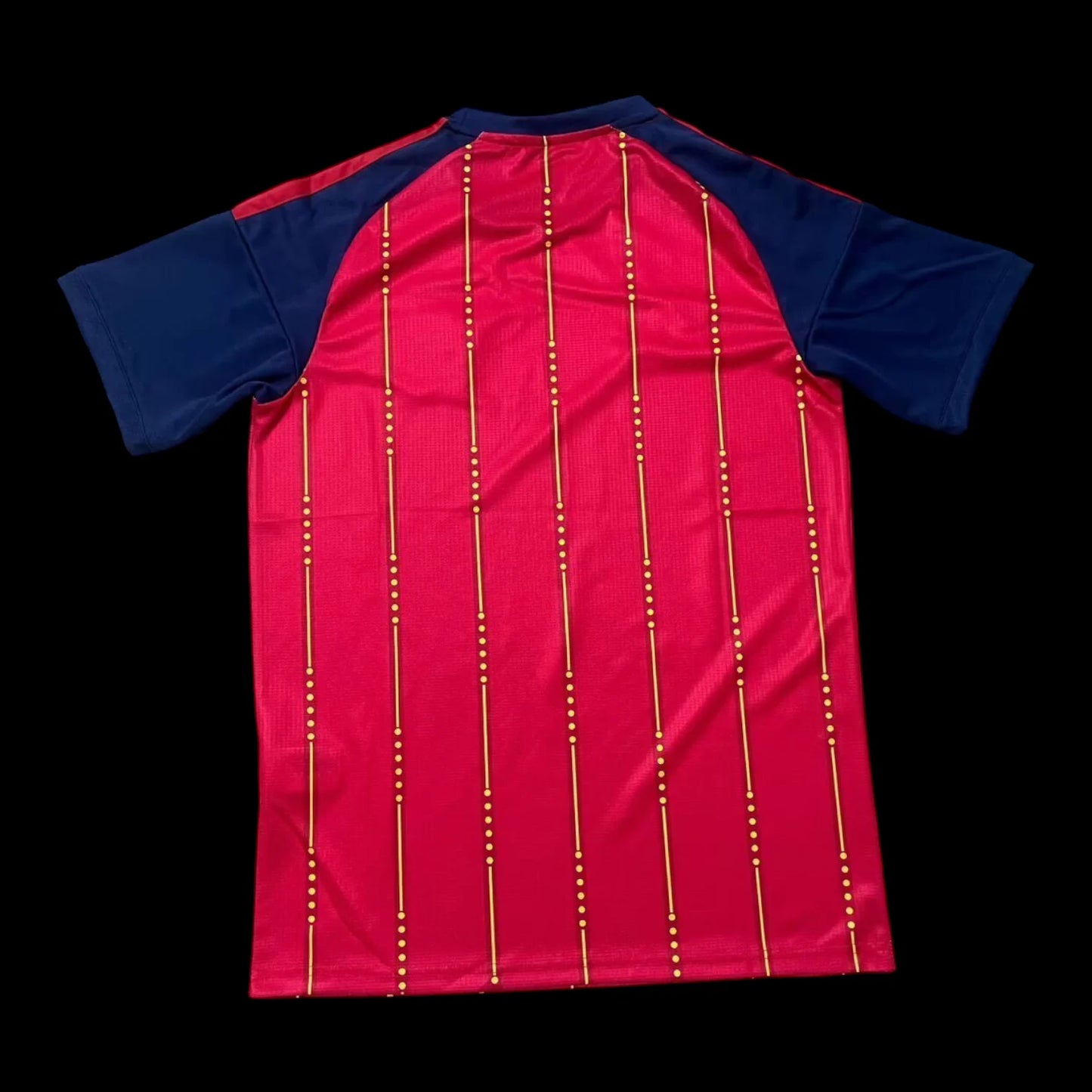 Espagne Maillot Domicile 26/27