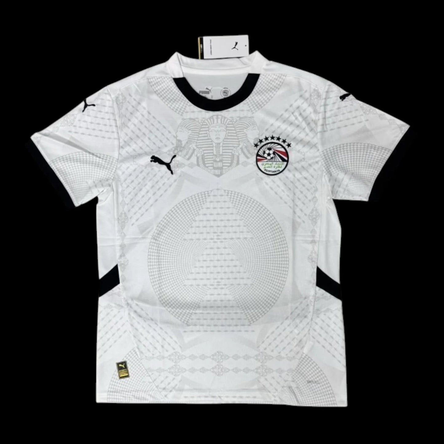 Egypte Maillot Extérieur 25/26