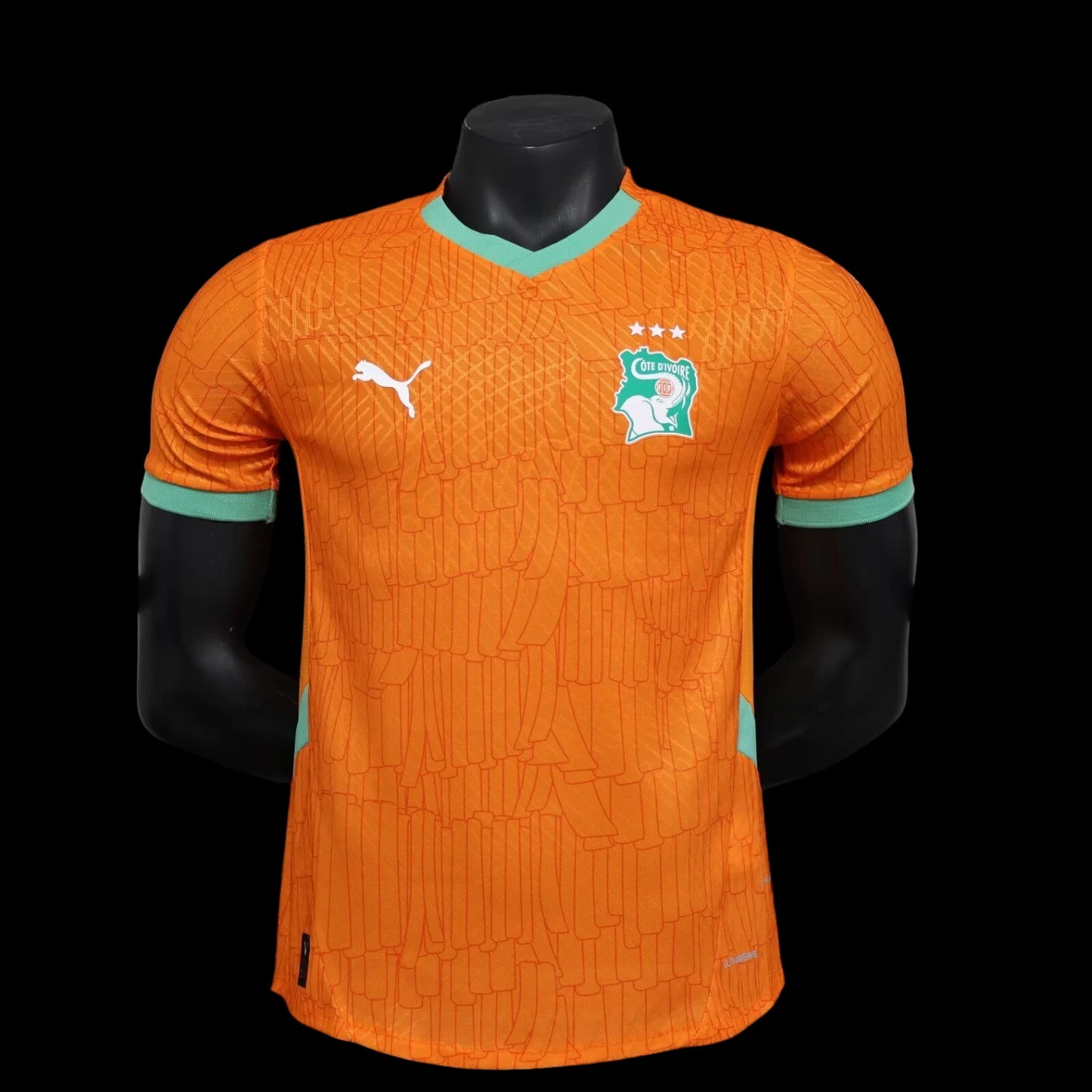 Cote d’Ivoire Maillot Domicile 25/26 – Version Player