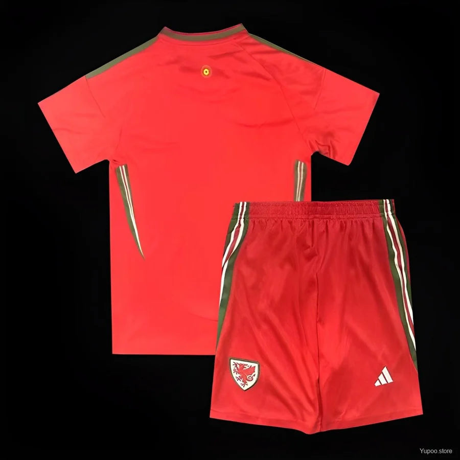 Kit ensemble football Pays de Galles Wales extérieur 2024/25