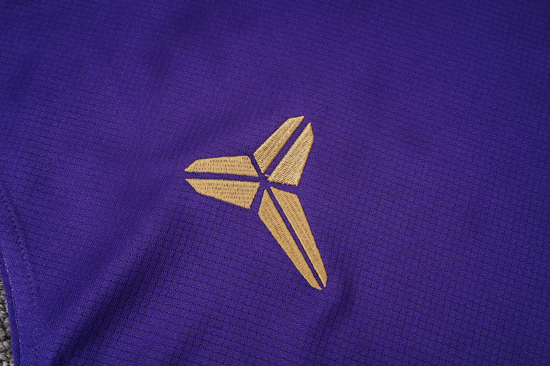 Kit Football Barcelone Ensemble Training Sans Manches Violet