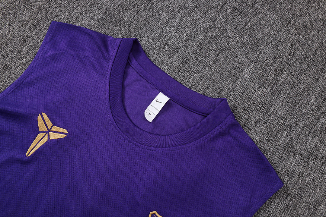 Kit Football Barcelone Ensemble Training Sans Manches Violet