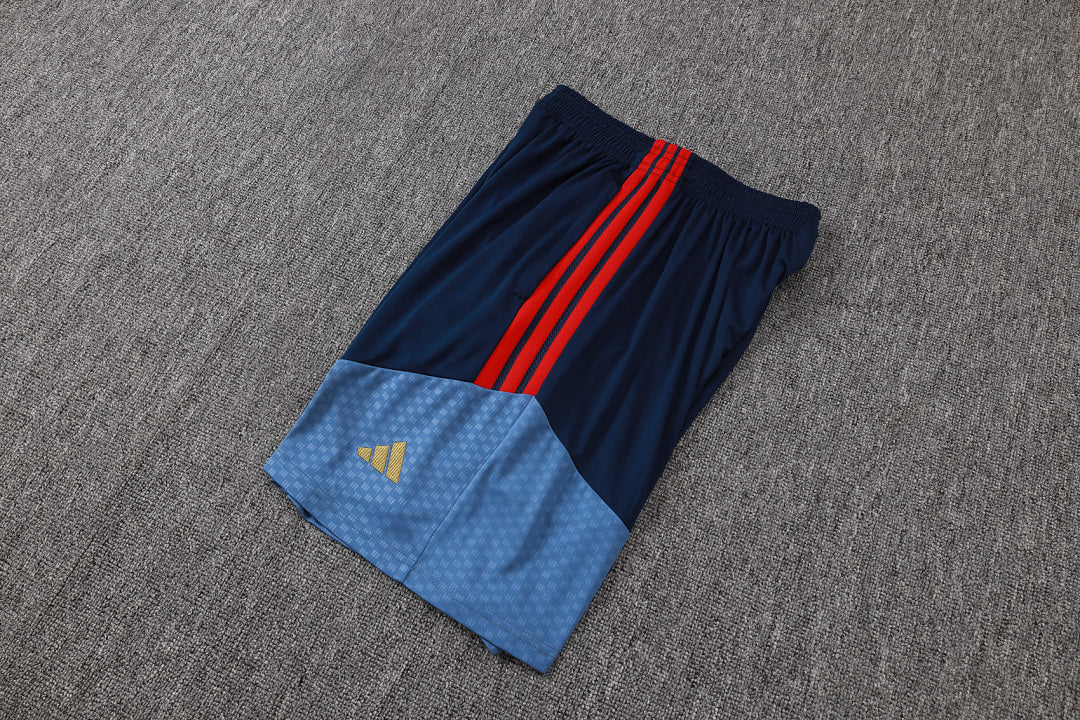 Kit Football Bayern Ensemble Training Bleu Roi