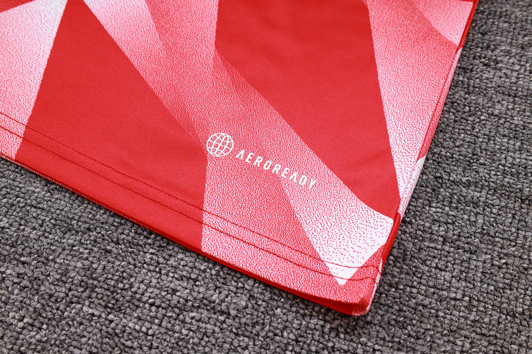 Kit Football Bayern Ensemble Training Sans Manches 2023/24