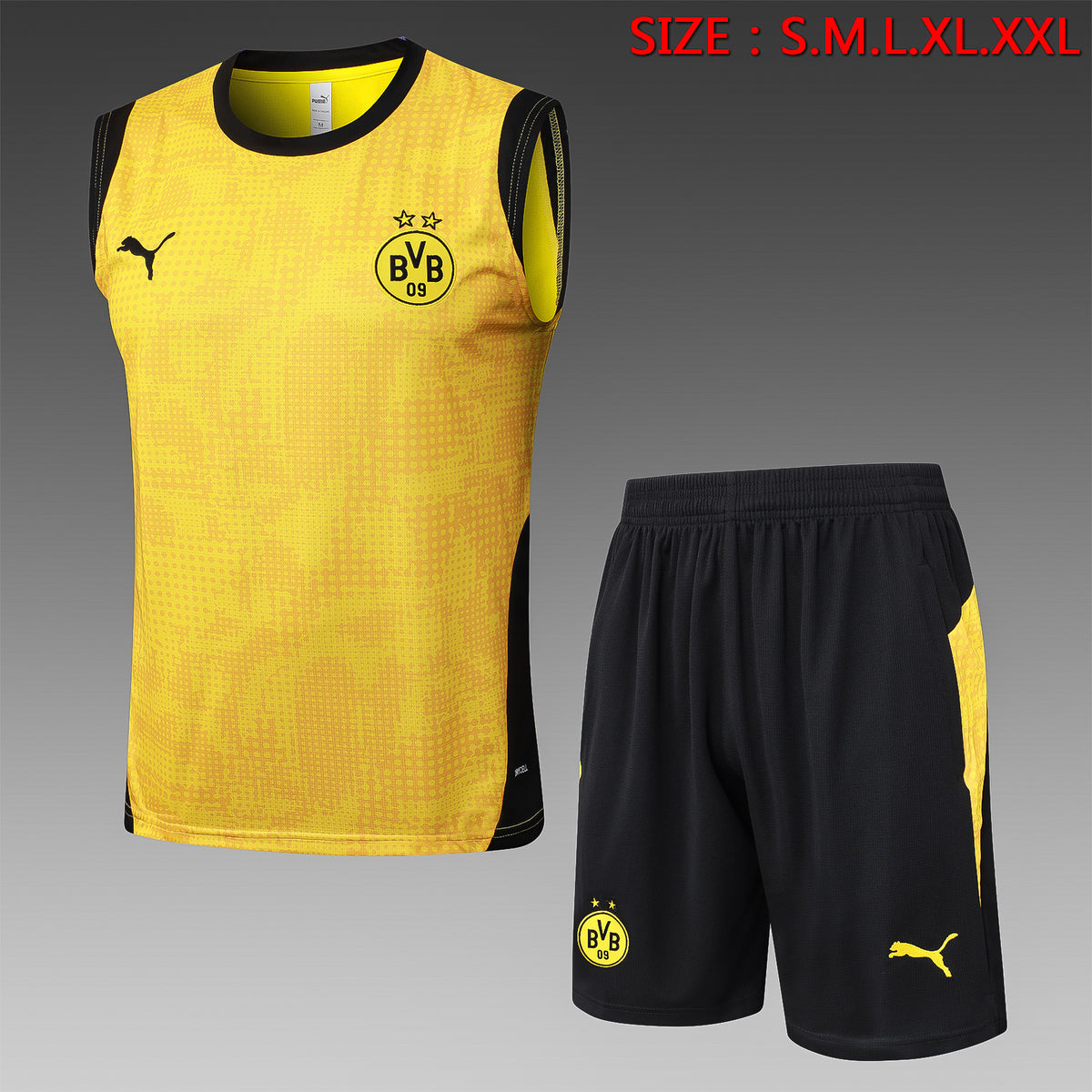 Kit Football Dortmund Débardeur Training 2025/26