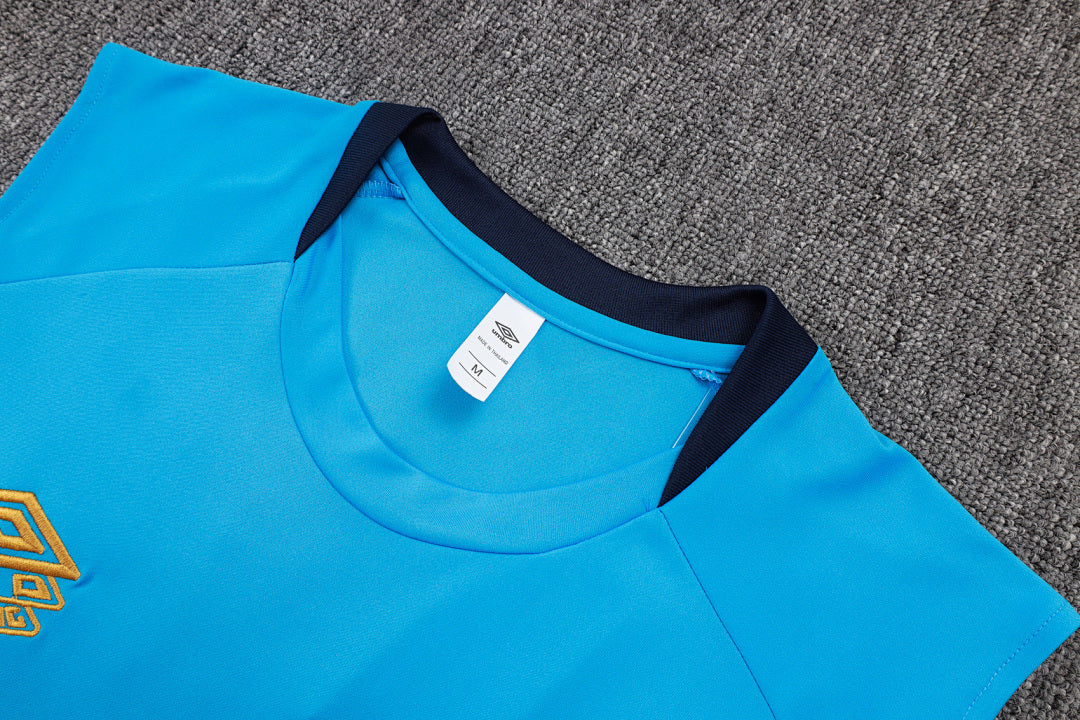Kit Football Gremio Ensemble Training 2025/26