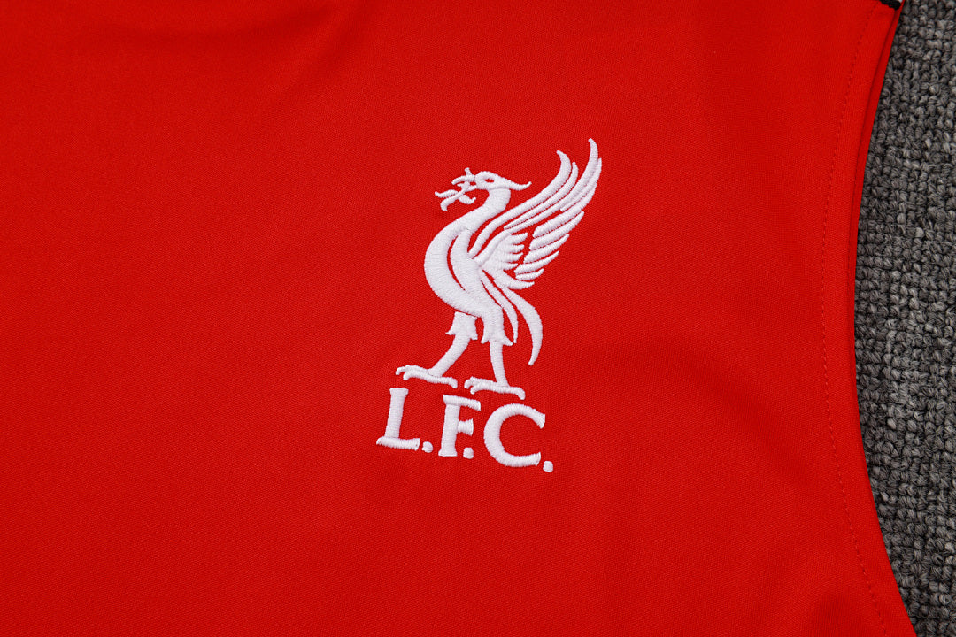 Kit Football Liverpool Ensemble Training D2515#