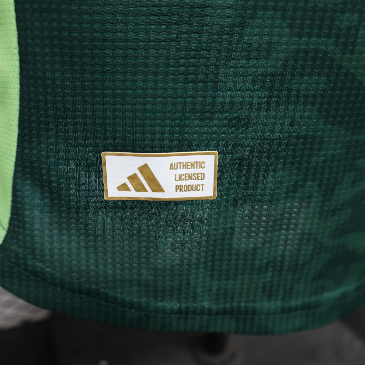 Maillot Algerie/Algeria Vert Green Player Version 2024/25