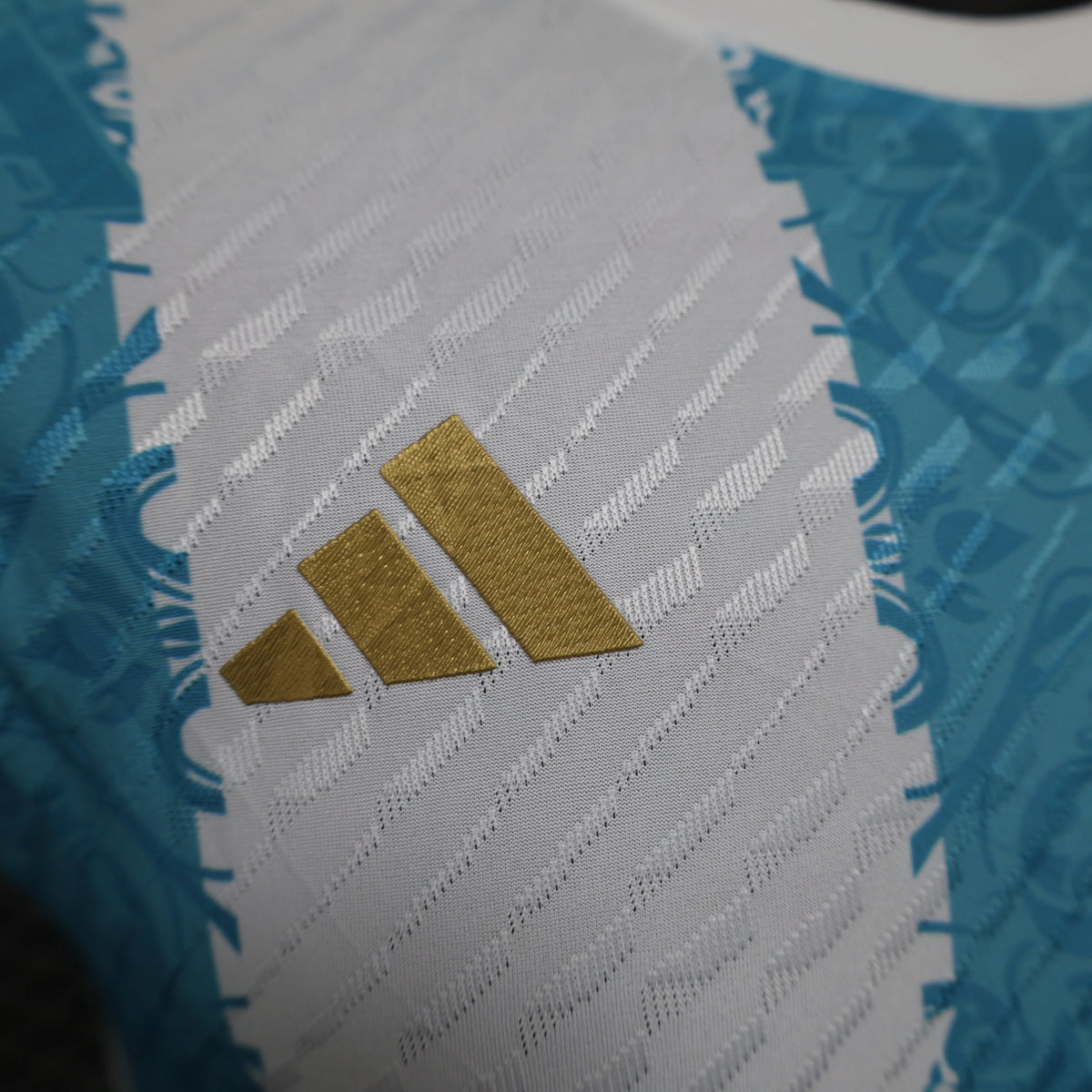 Maillot Argentine/Argentina Player Version 2024/25