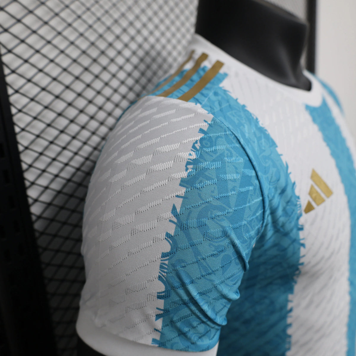 Maillot Argentine/Argentina Player Version 2024/25
