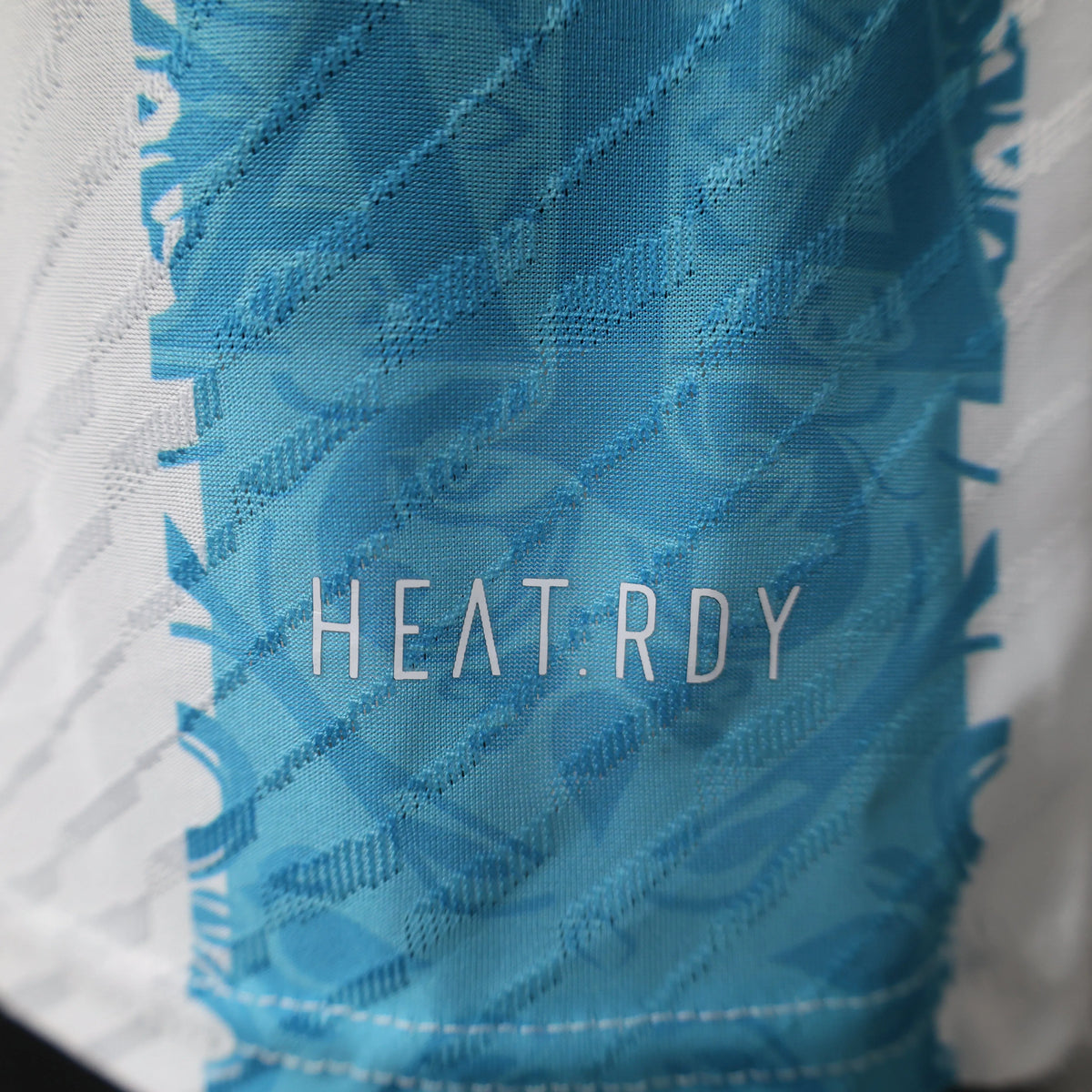 Maillot Argentine/Argentina Player Version 2024/25