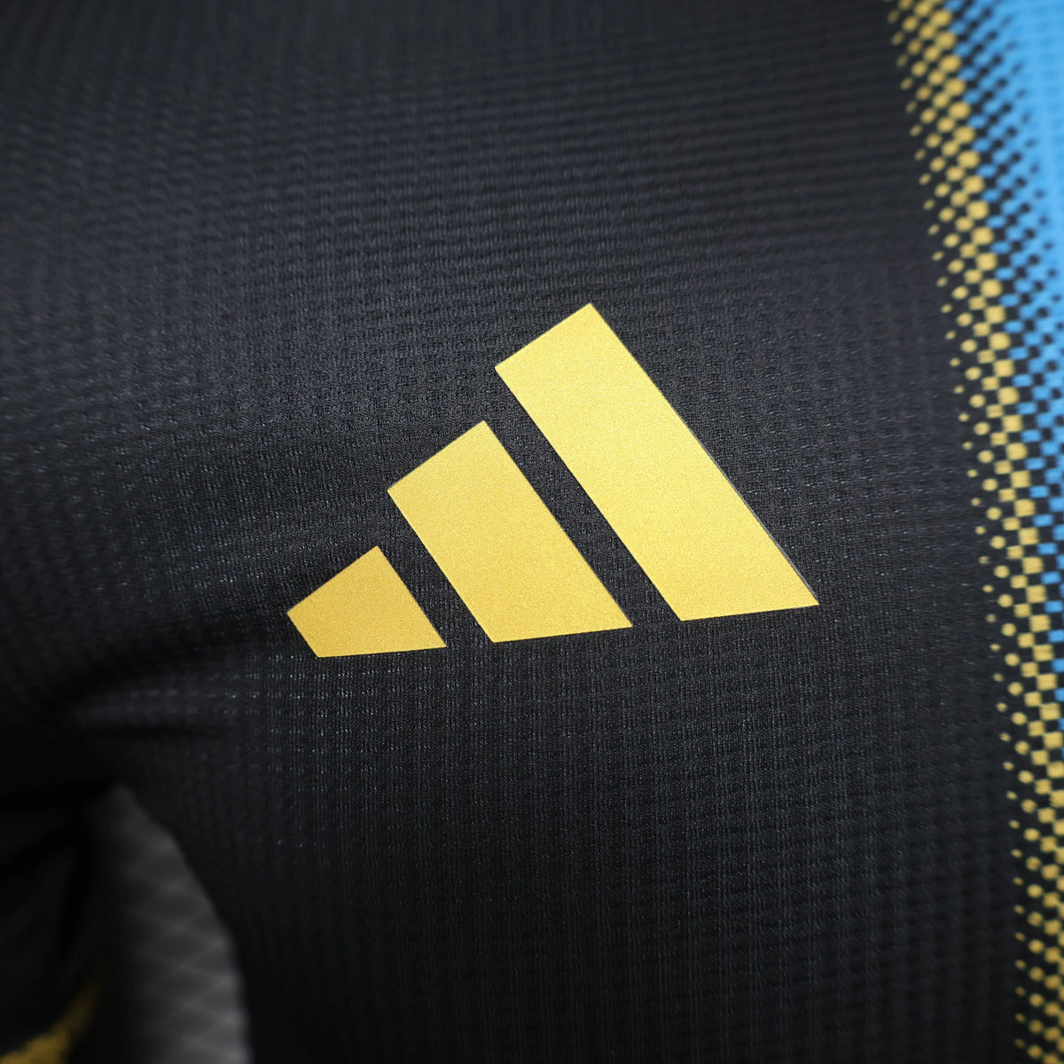 Maillot Argentine/Argentina Spécial Rétro Player Version 2024/25