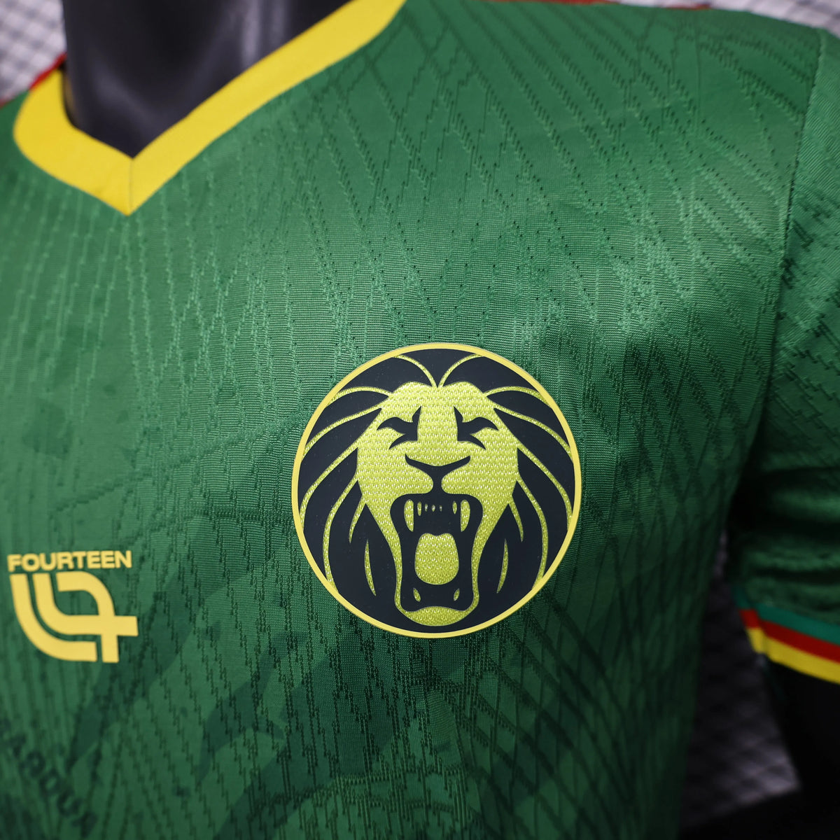 Maillot Cameroun/Cameroon domicile/vert * Player Version * CAN/CAF 2025/26