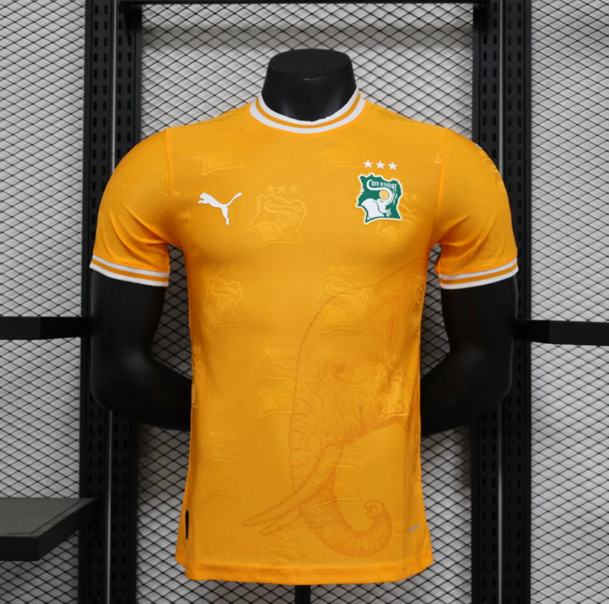 Maillot Côte d’Ivoire Ivory Coast domicile * Player Version * 2024/25