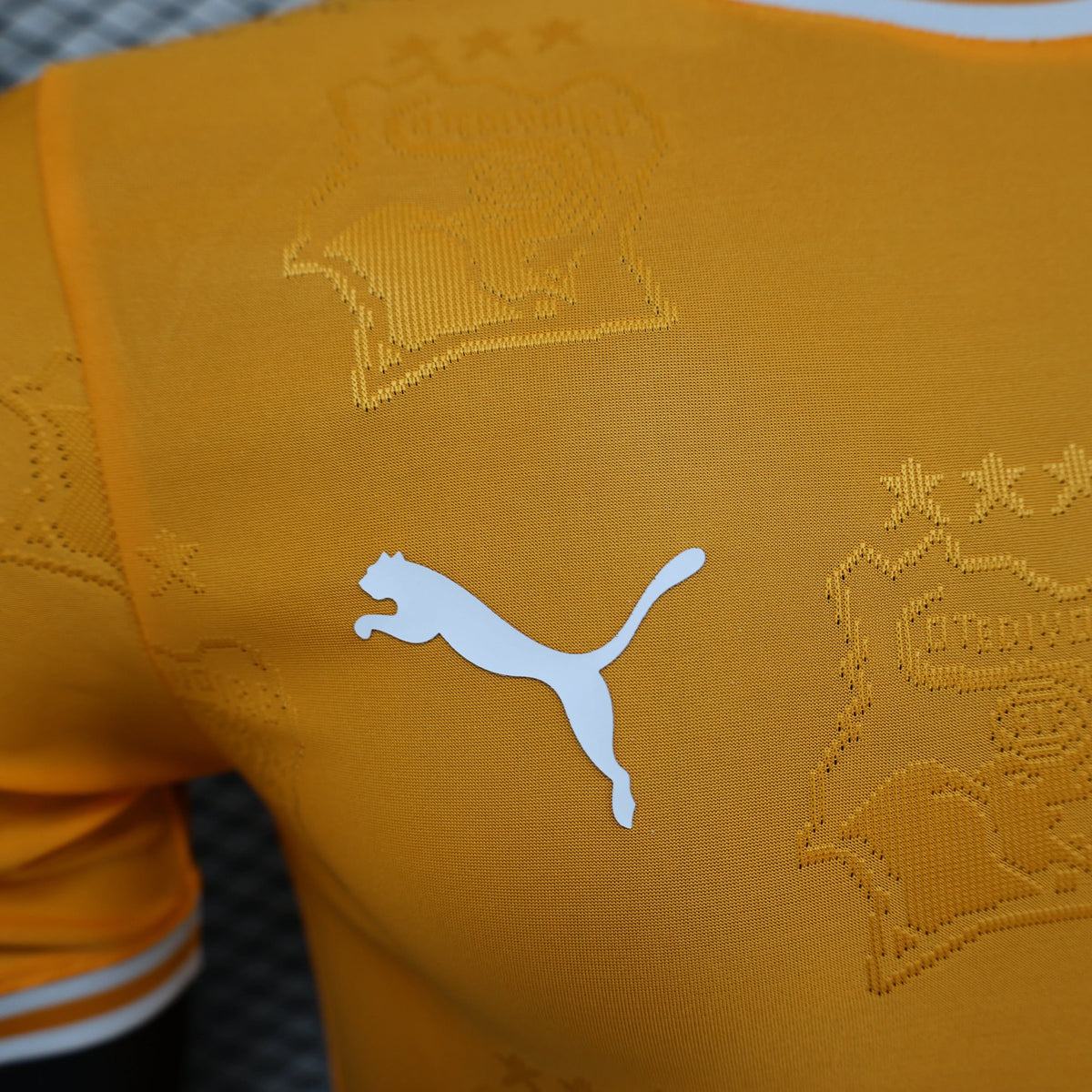 Maillot Côte d’Ivoire Ivory Coast domicile * Player Version * 2024/25