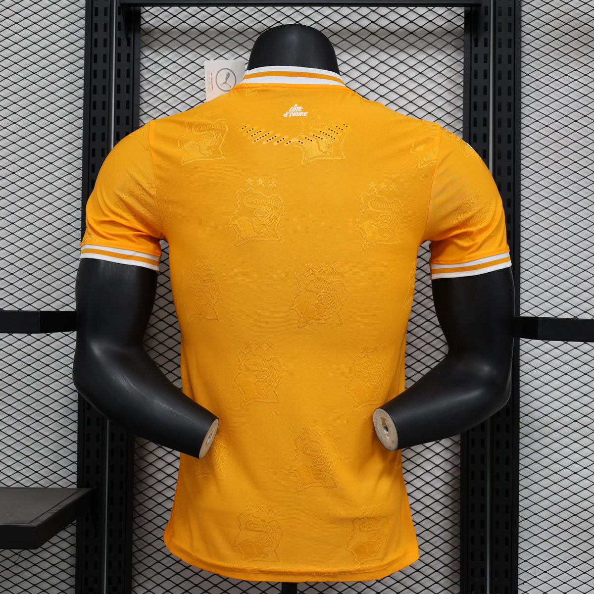 Maillot Côte d’Ivoire Ivory Coast domicile * Player Version * 2024/25