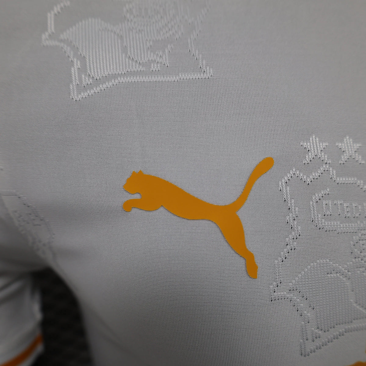 Maillot Côte d’Ivoire Ivory Coast extérieur * Player Version * 2024/25