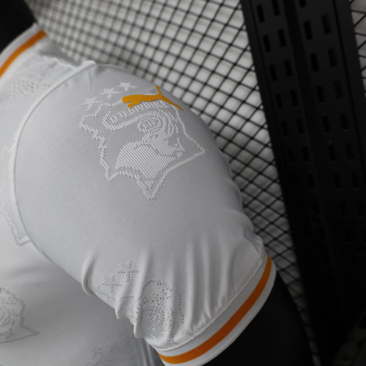 Maillot Côte d’Ivoire Ivory Coast extérieur * Player Version * 2024/25