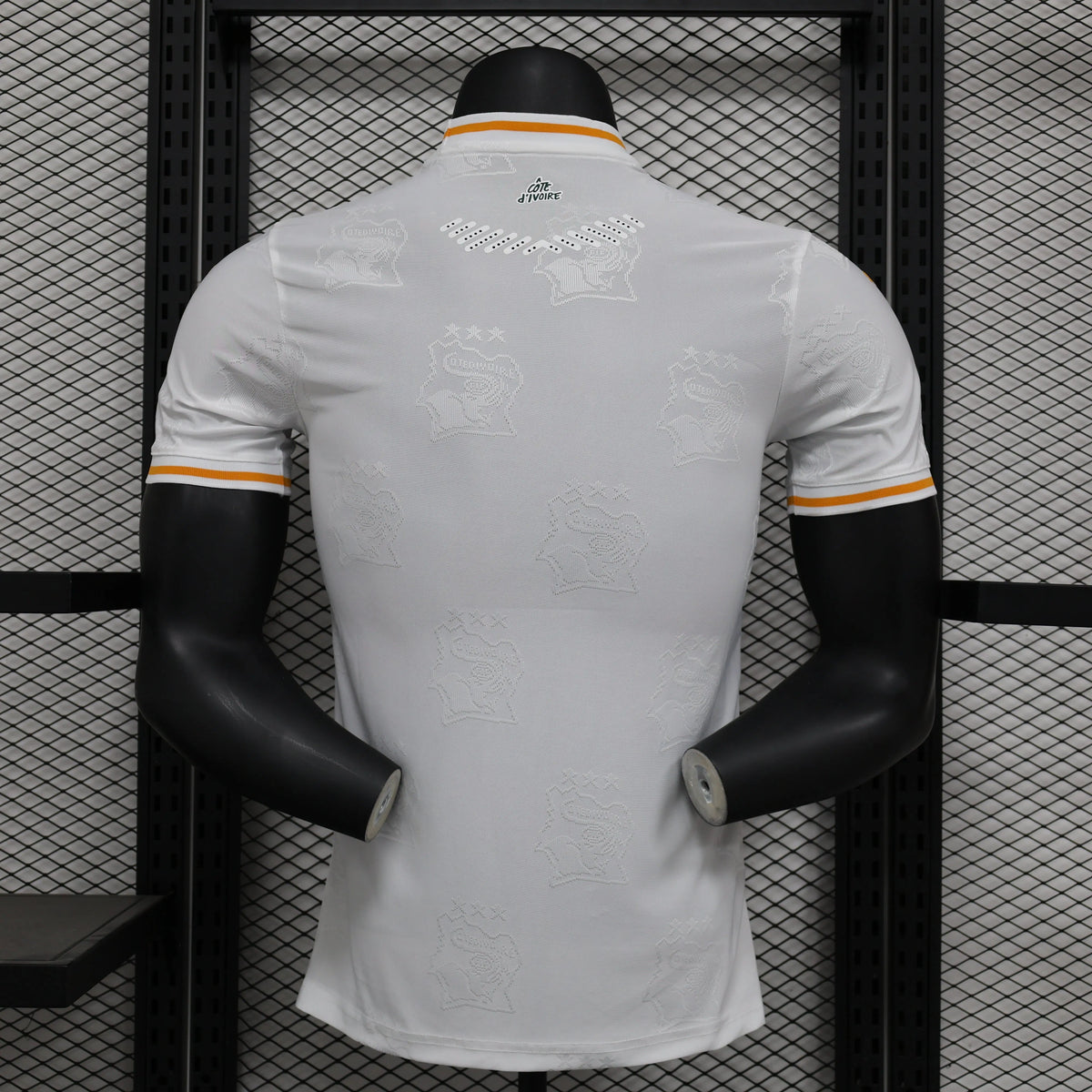 Maillot Côte d’Ivoire Ivory Coast extérieur * Player Version * 2024/25