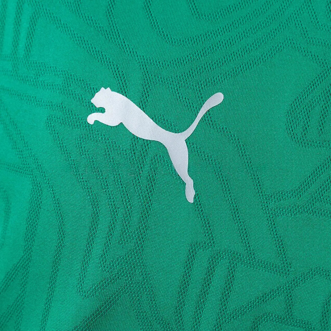 Maillot entraînement football Fluminense 2026/27