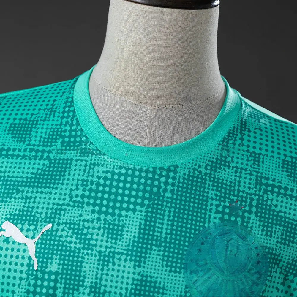Maillot entraînement Palmeiras 2026/27