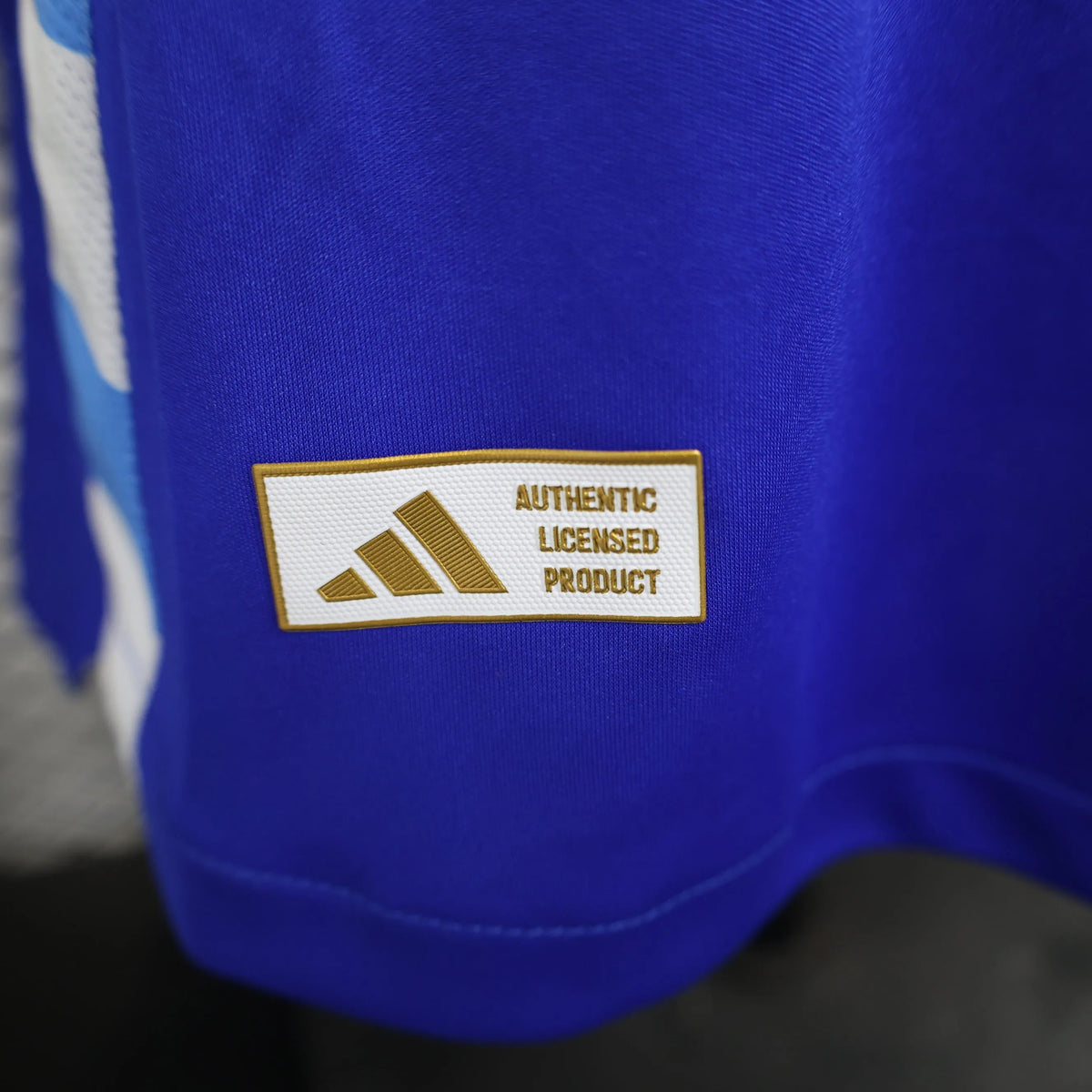 Maillot football Argentine Argentina domicile Player Version Manches Longues LS 2024/25