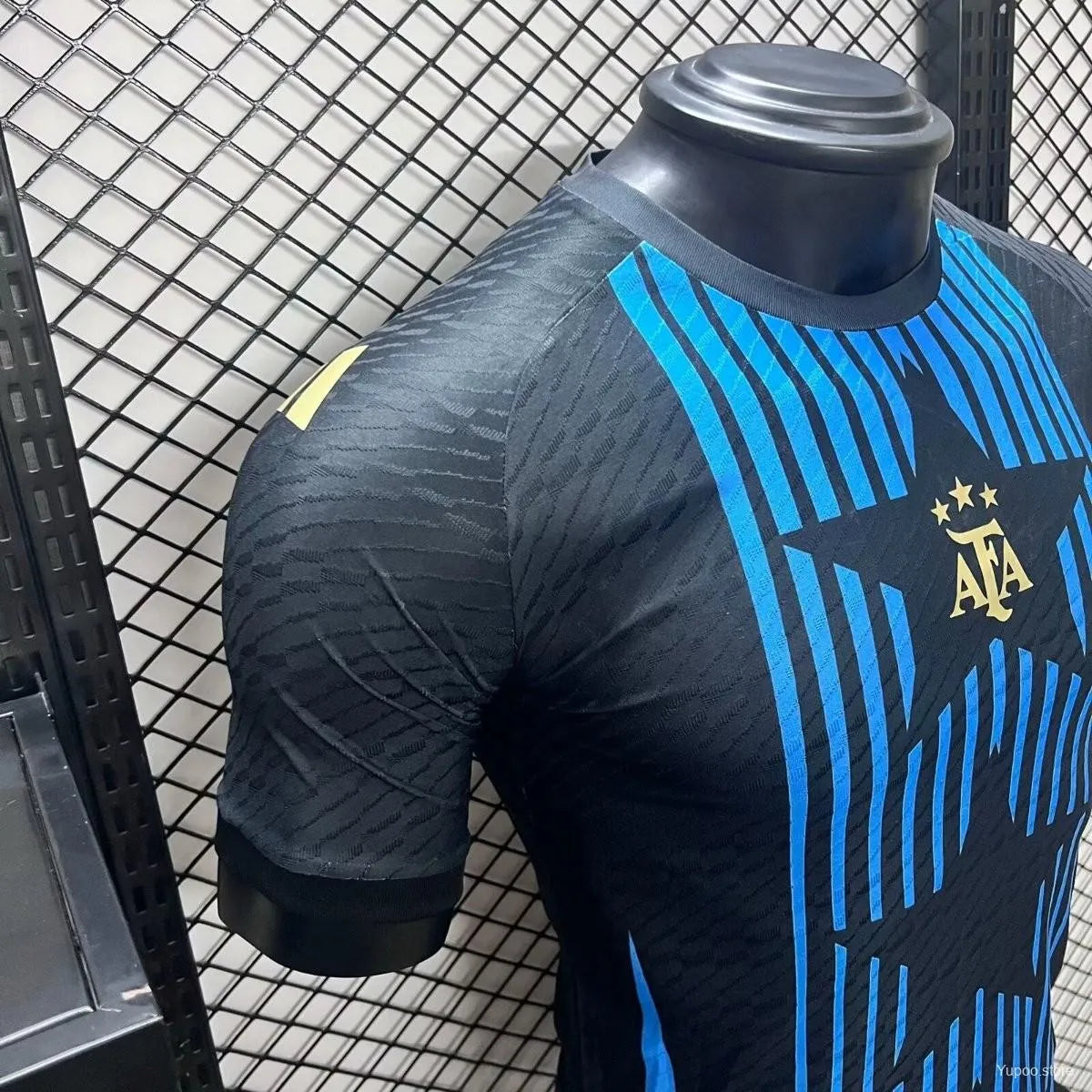 Maillot football Argentine/Argentina Player Version 2024/25