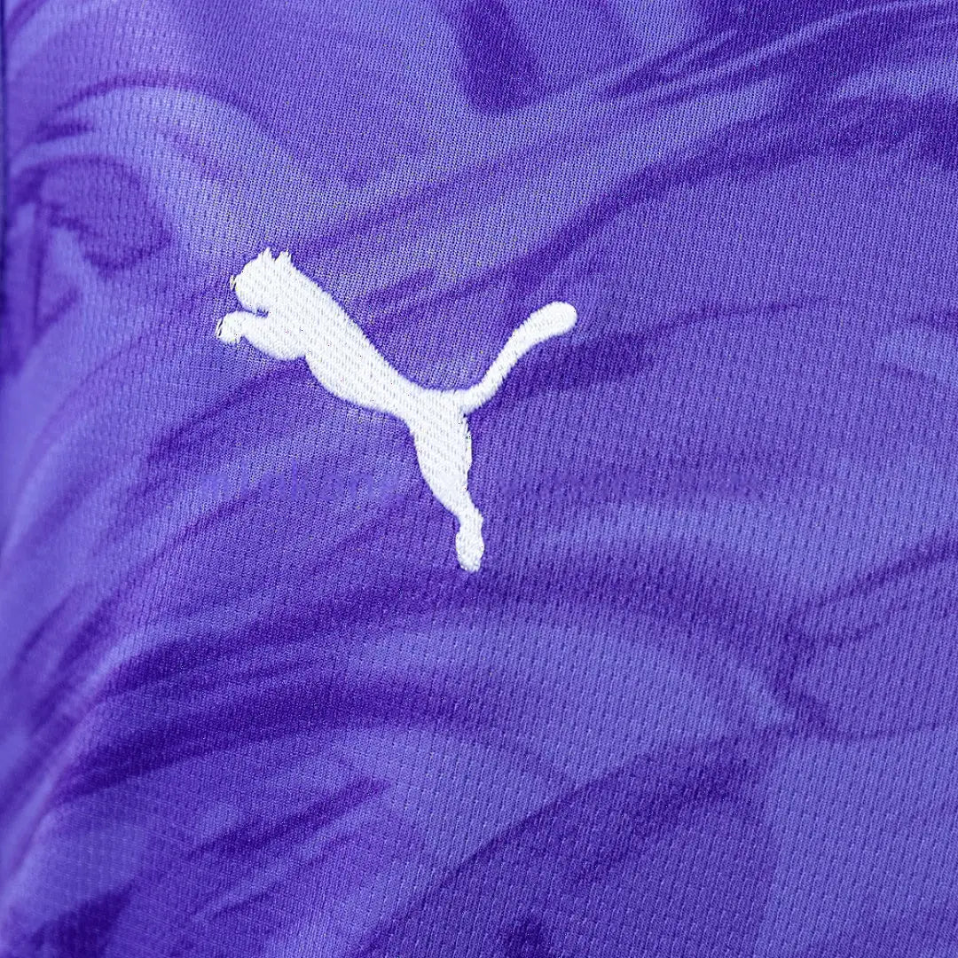 Maillot football Bahia Gardien Violet 2026/27