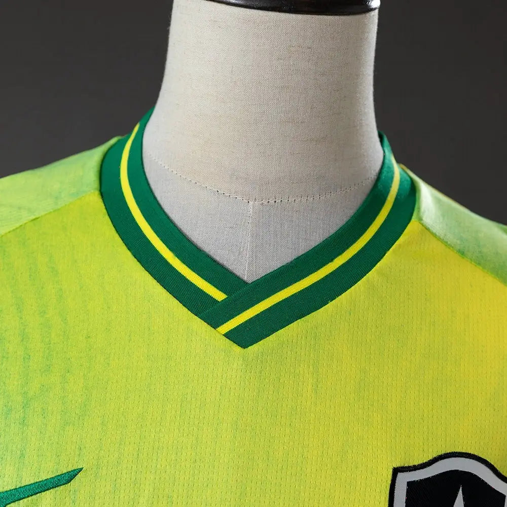Maillot football Botafogo X Brazl édition spéciale 2026/27
