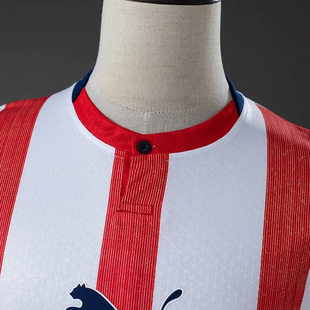 Maillot football Chivas de Guadalajara 120 Aniversario manches longues