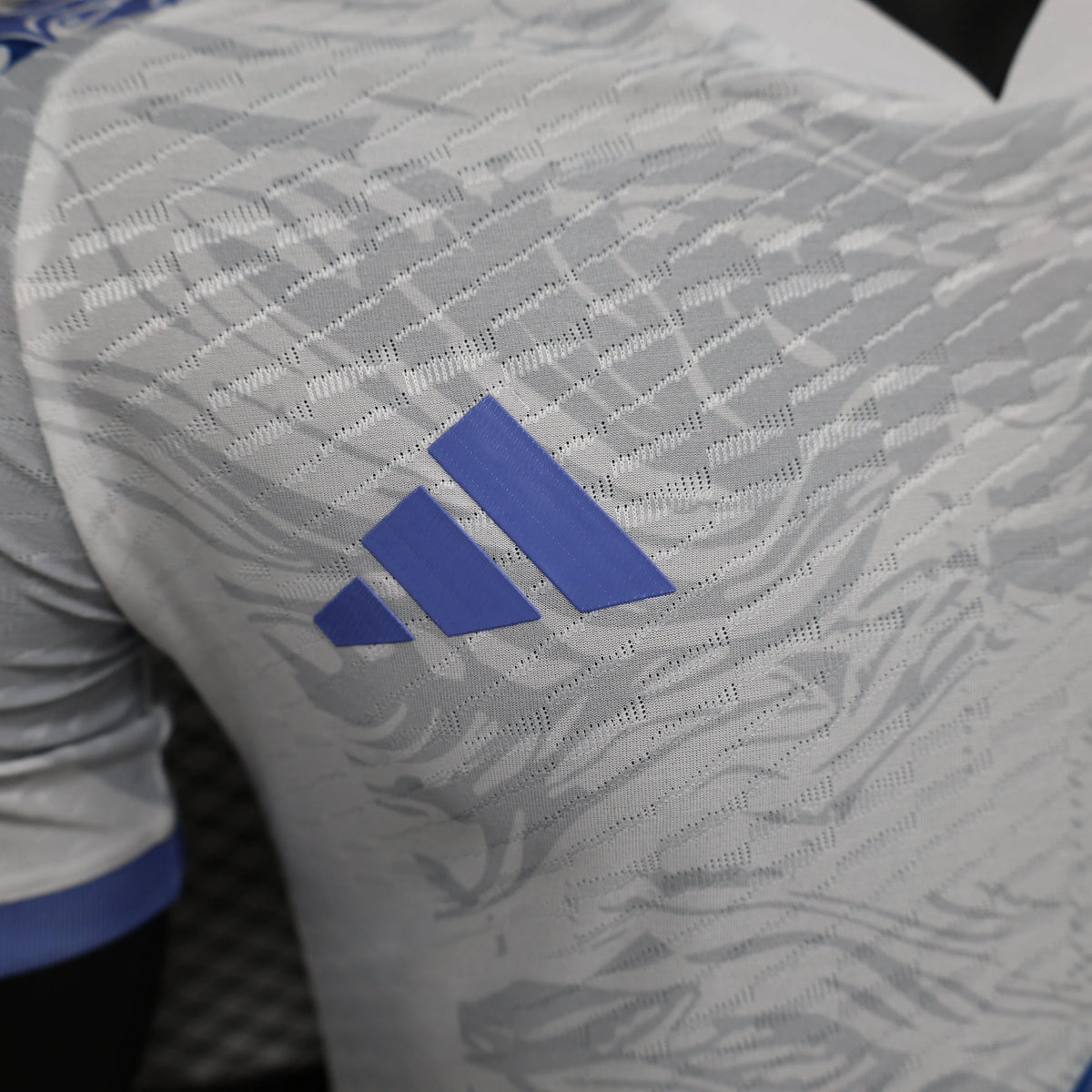 Maillot football Japon/Japan Blue Dragon * Player Version * 2024/25