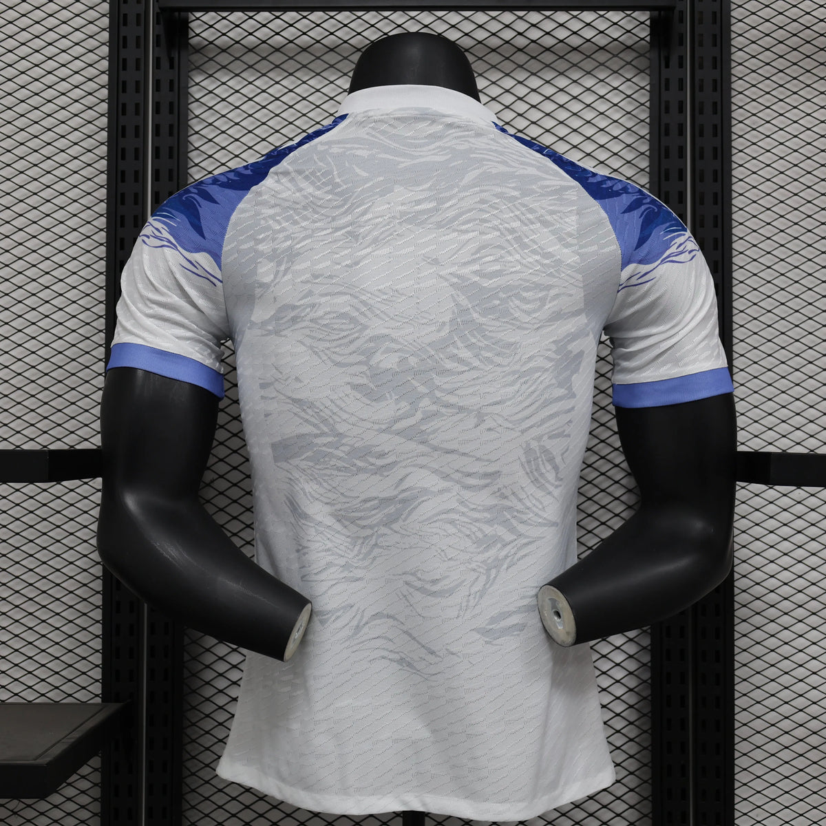 Maillot football Japon/Japan Blue Dragon * Player Version * 2024/25