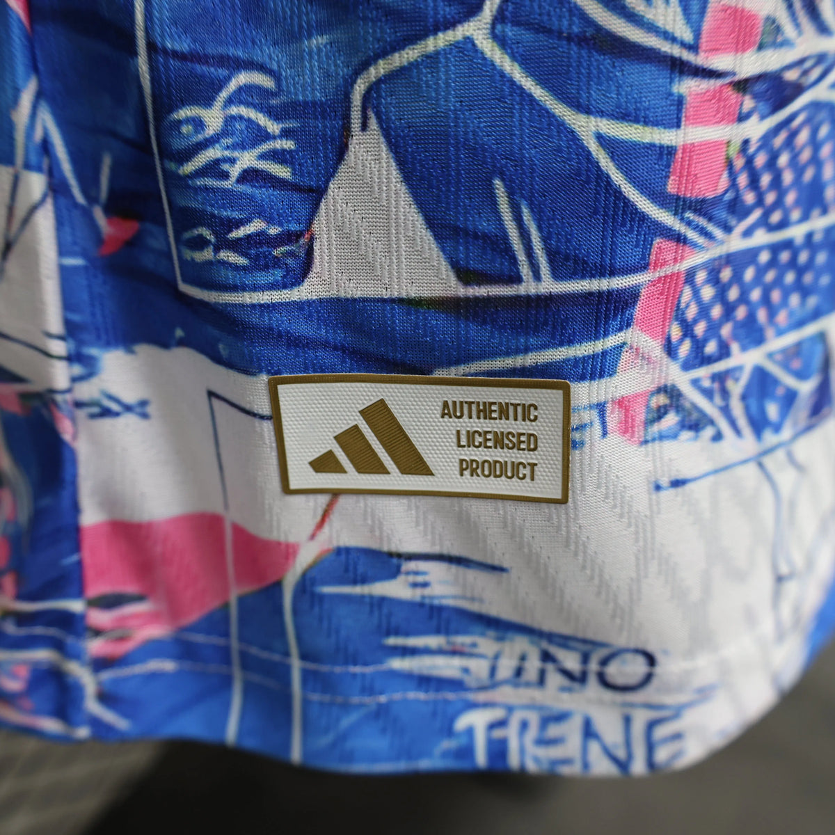 Maillot football Japon/Japan Dragon Ball Z DBZ Sangoku Végéta Ultra Ego * Player Version * 2024/25